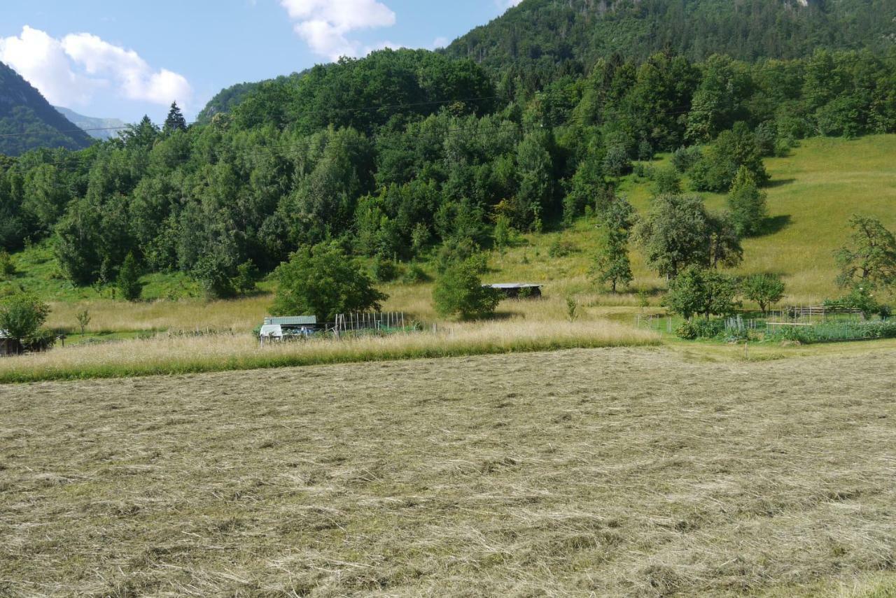 Apartments - glamping Encijan Begunje na Gorenjskem Bagian luar foto